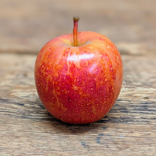 Pommes - Gala Russet (unité)