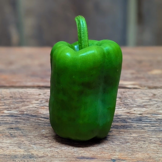 Poivron vert (petit)