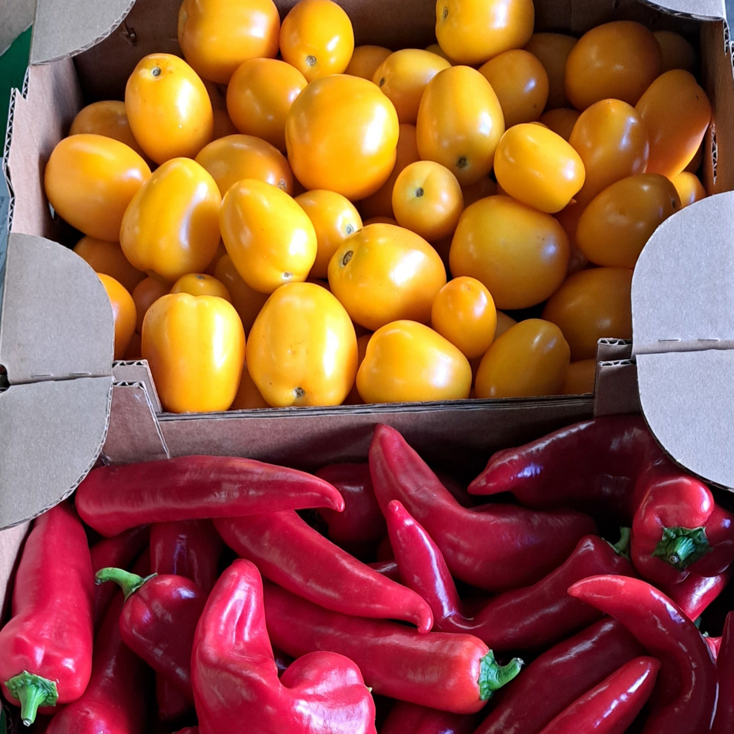 Panier abondance: C'est l'été! (10% rabais à la caisse)