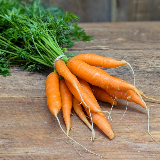 Carottes en botte