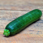 Courgette verte