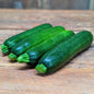 Courgette verte (packet de 4)