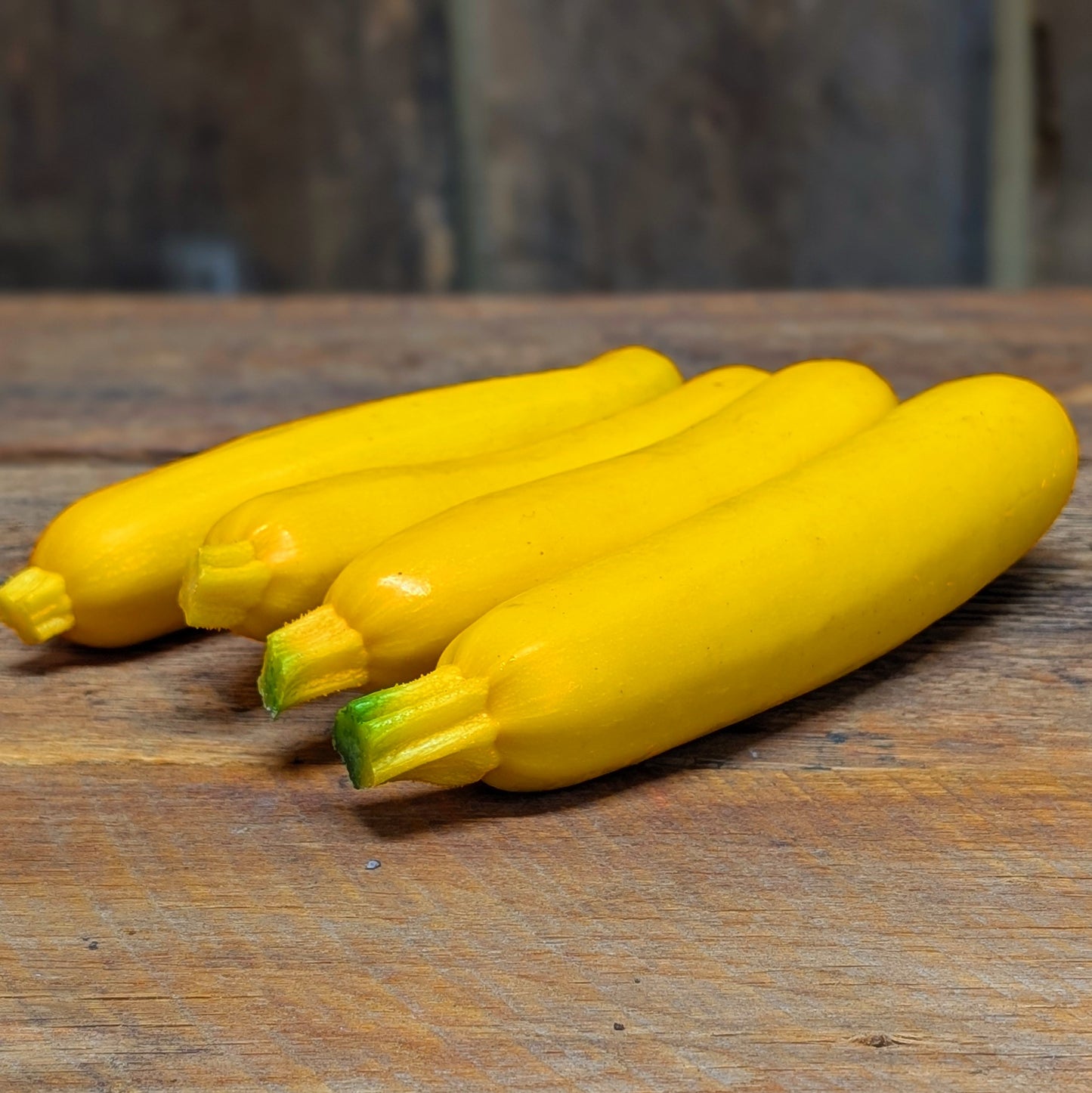Courgette jaune (packet de 4)