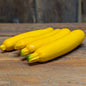 Courgette jaune (packet de 4)