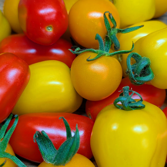 Tomate cerise mixte