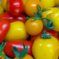 Tomate cerise mixte