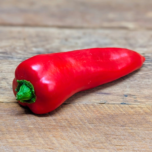 Poivron italien rouge