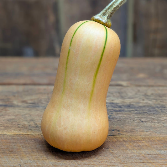 Courge butternut