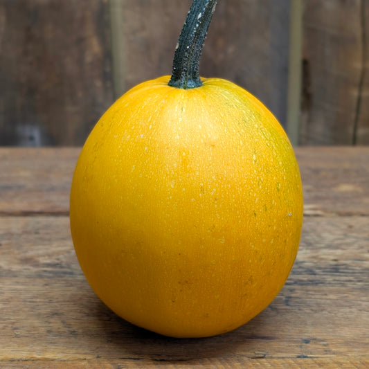 Courge spaghetti