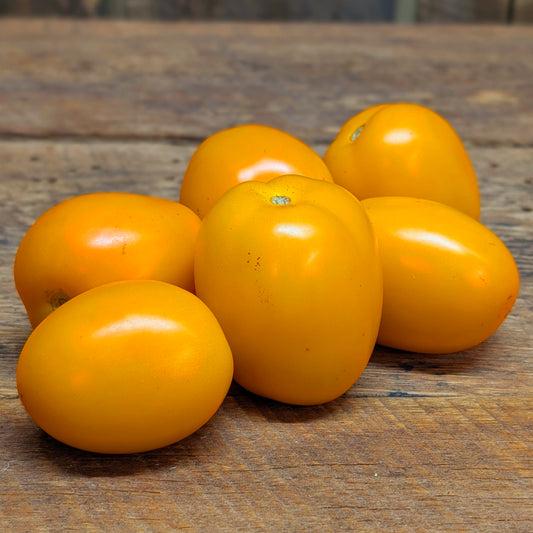 Tomate italienne pour sauce (1lb)