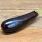 Aubergine (petit)