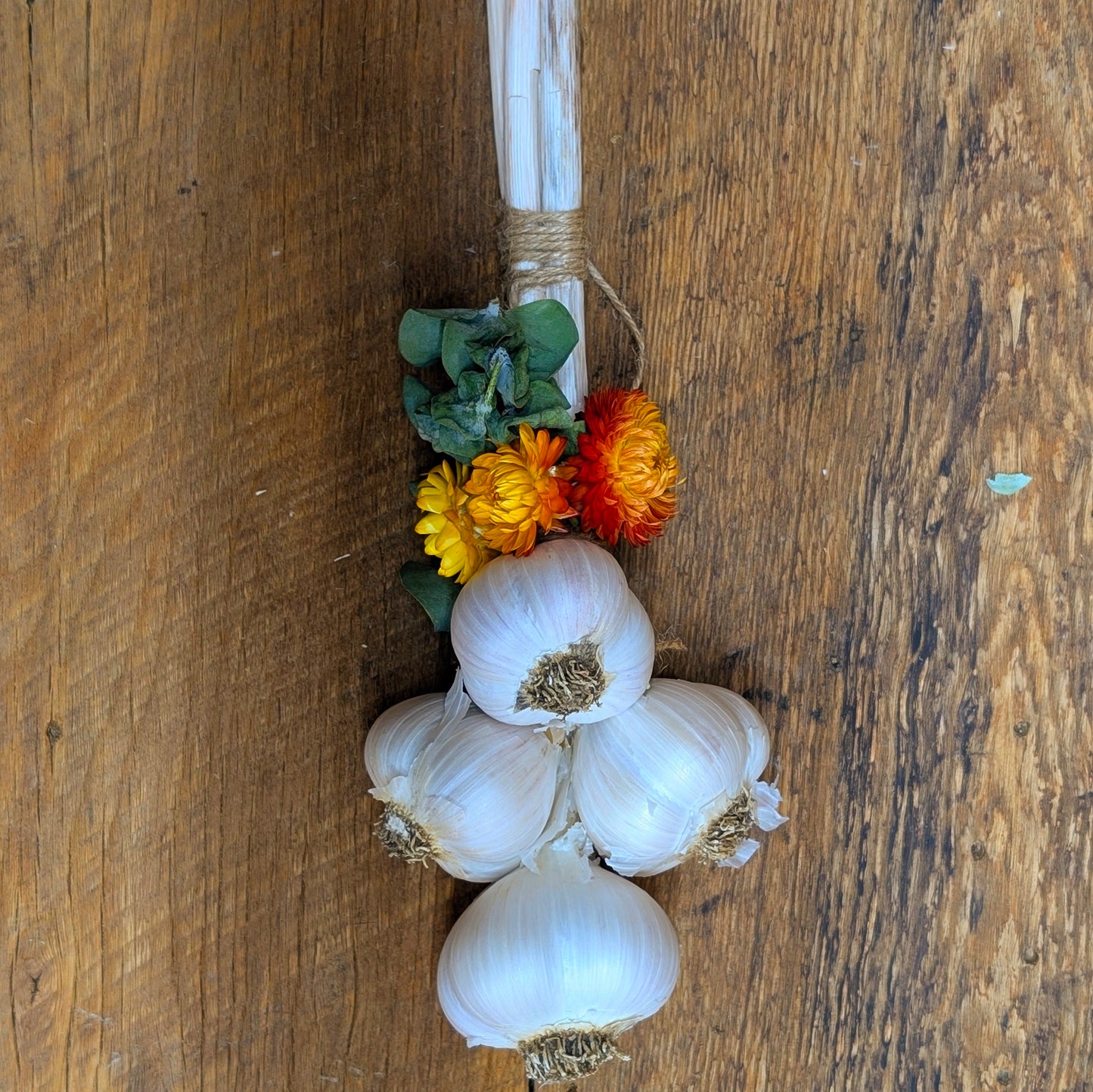 Ail en bouquet - Petit