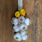 Ail en bouquet - Gros
