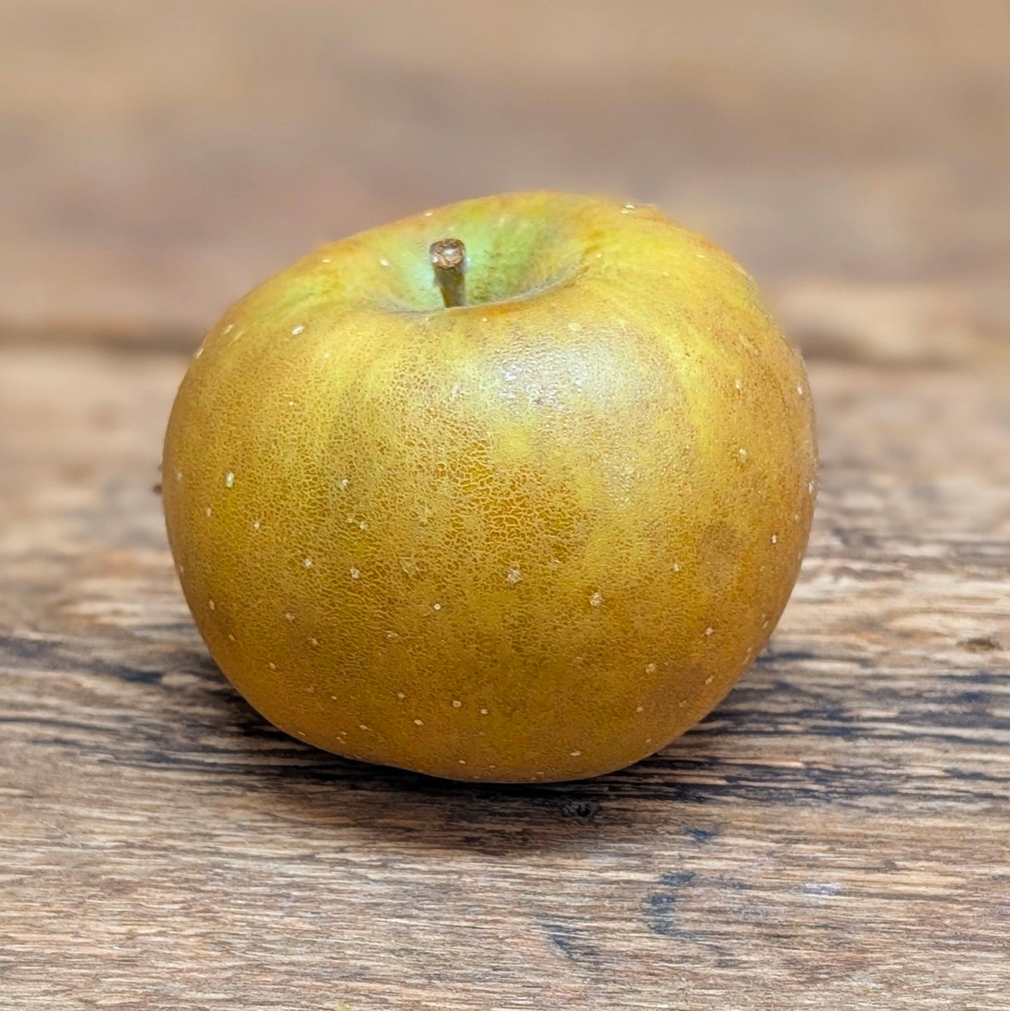 Pommes - Russet (unité)