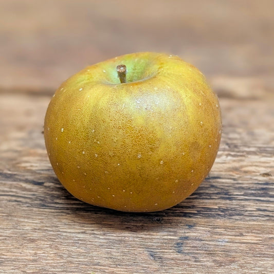 Pommes - Russet (unité)