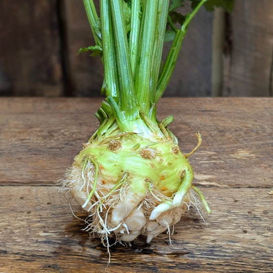 Céleri-rave (petit)