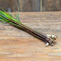 Citronelle (Lemongrass)