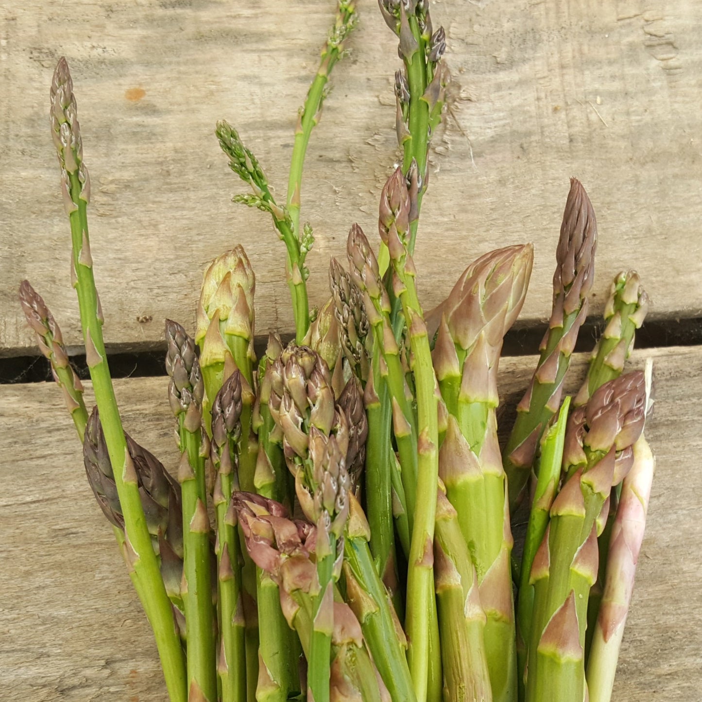 Asperge à potage (2 lbs)
