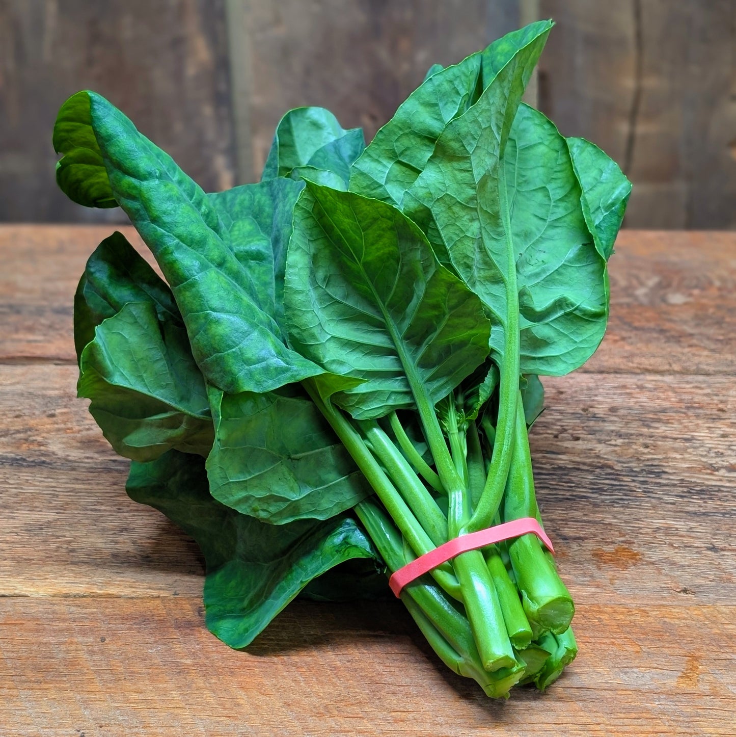 Brocoli chinois - kailaan