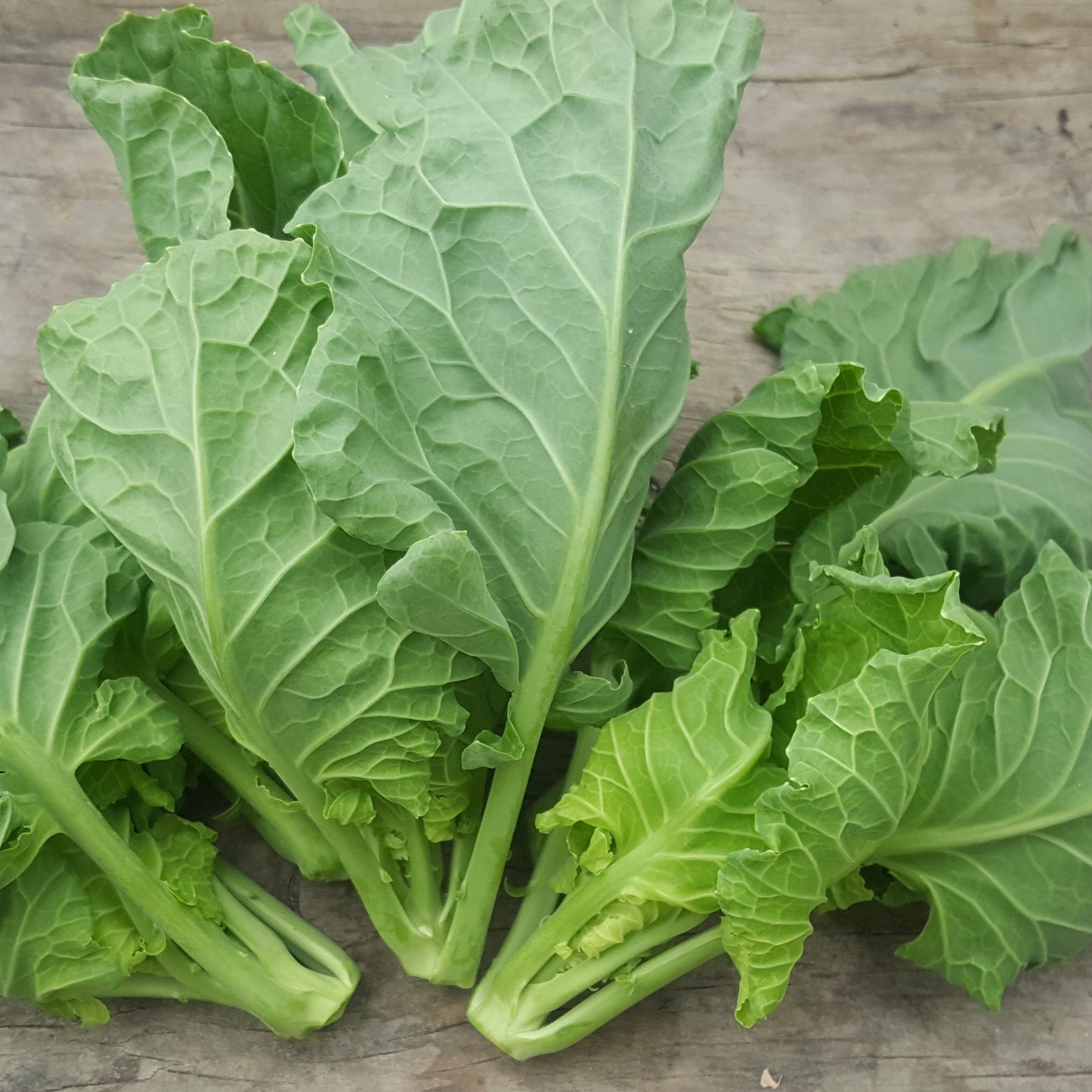 Têtes de choux de Bruxelles