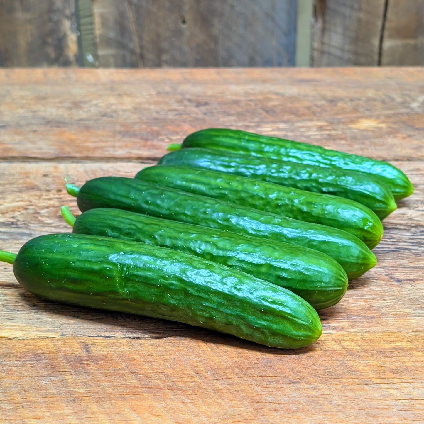 Concombre libanais (packet de 6)