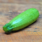 Courgette mexicaine