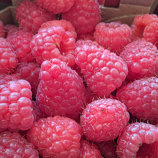 Framboises du Québec