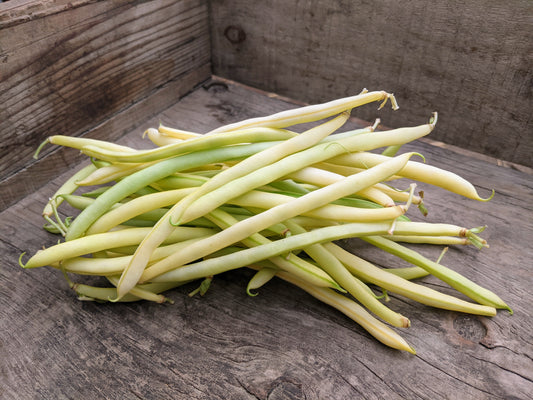 Haricots jaunes