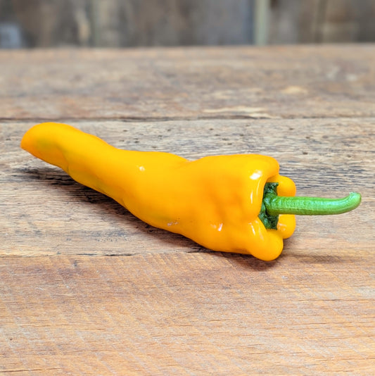 Poivron italien jaune
