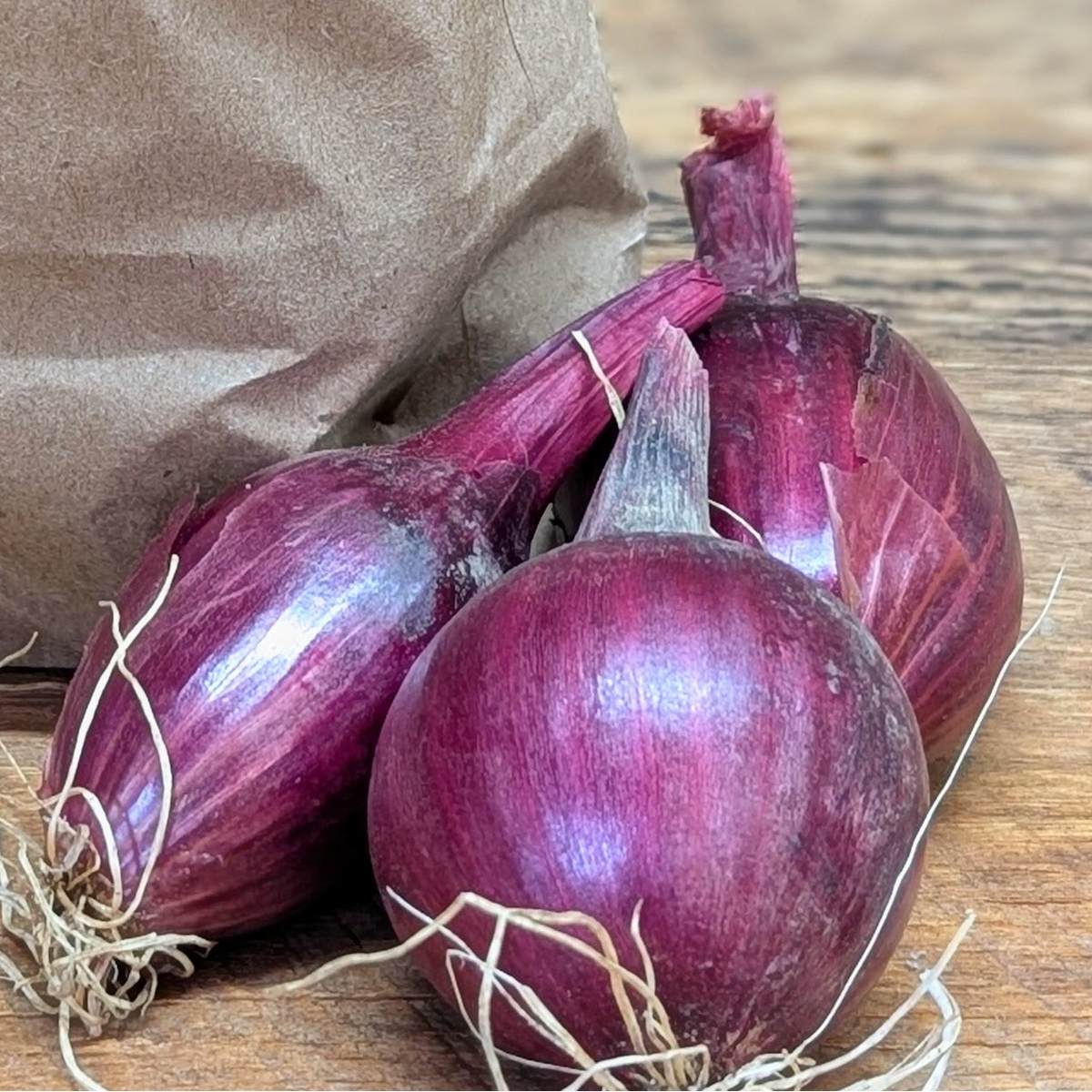 .Oignon rouge (1 lb)