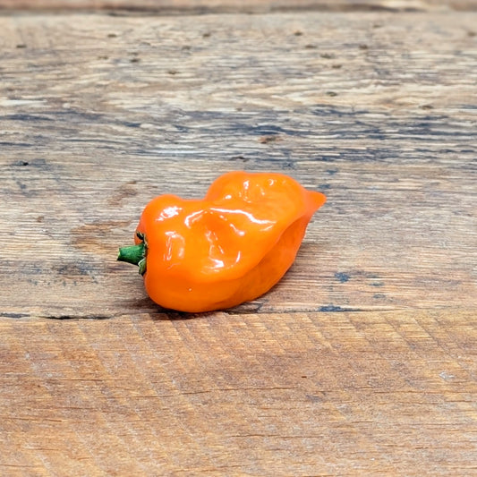 Piment fort habanero