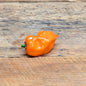 Piment fort habanero