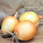 .Oignon jaune (1 lb)