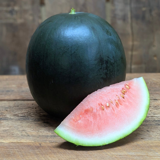 Melon d'eau - Blacktail Mountail