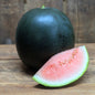 Melon d'eau - Blacktail Mountail