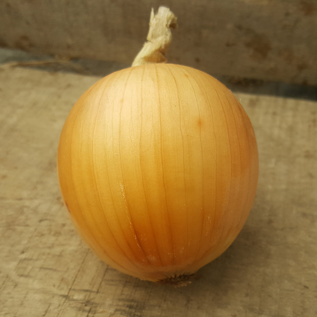 Oignon jaune (unité)