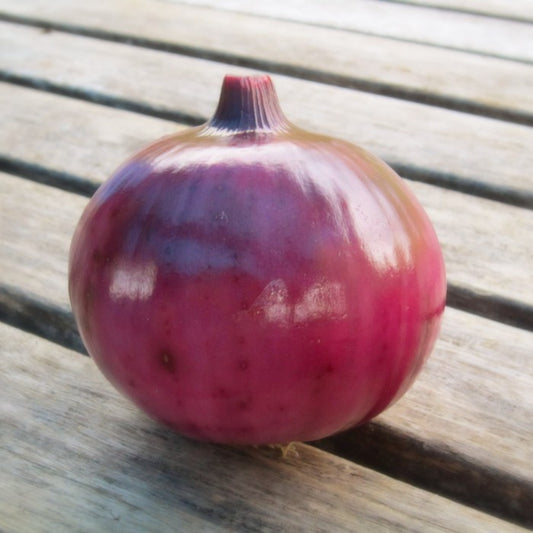 Oignon frais rouge