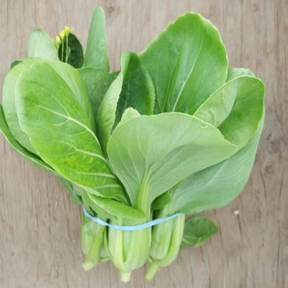 Pac choi