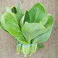 .Pac choi