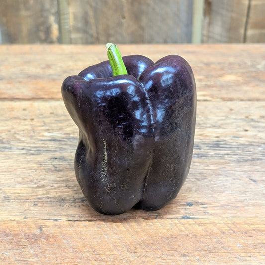 Poivron mauve
