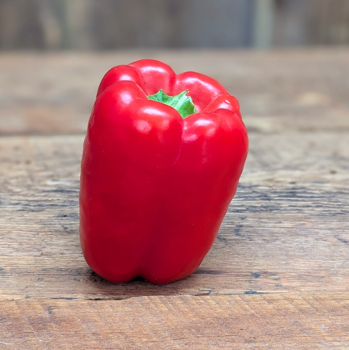 Poivron rouge