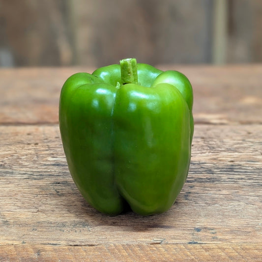 Poivron vert
