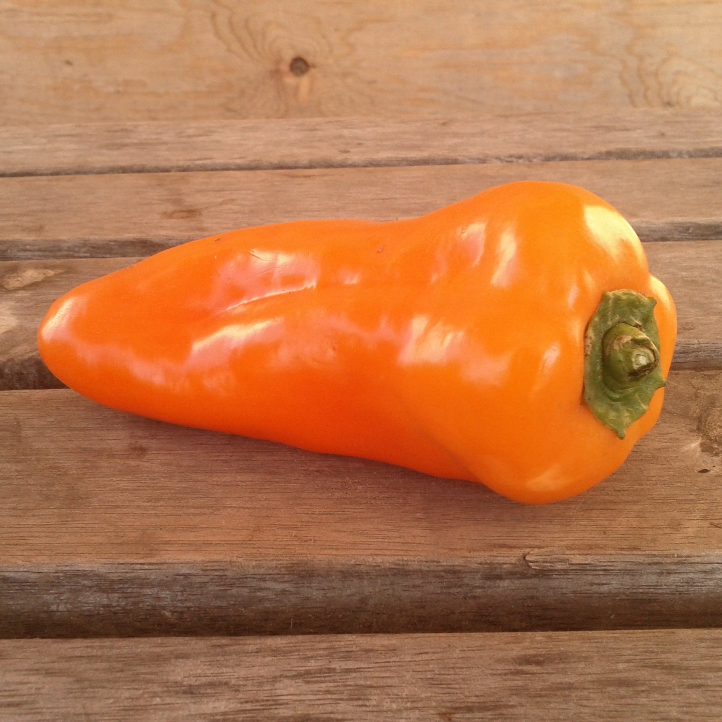 Poivron italien jaune