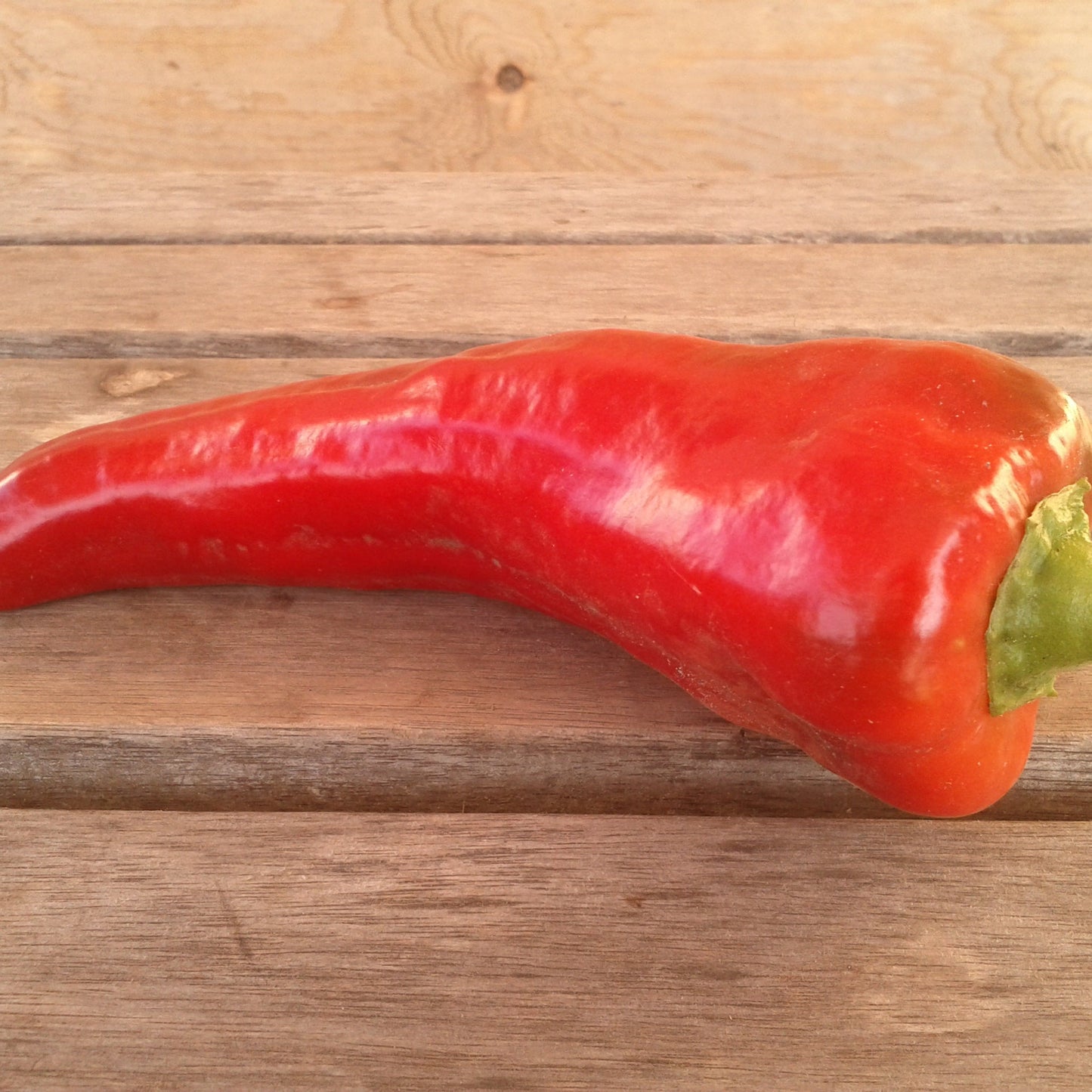 Poivron italien rouge