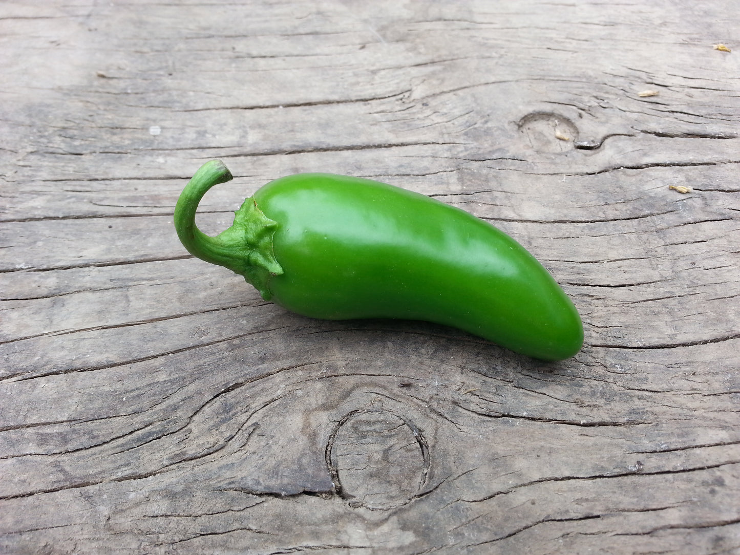 Piment fort jalapeño
