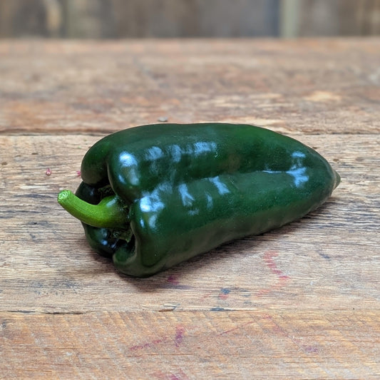 Piment fort poblano