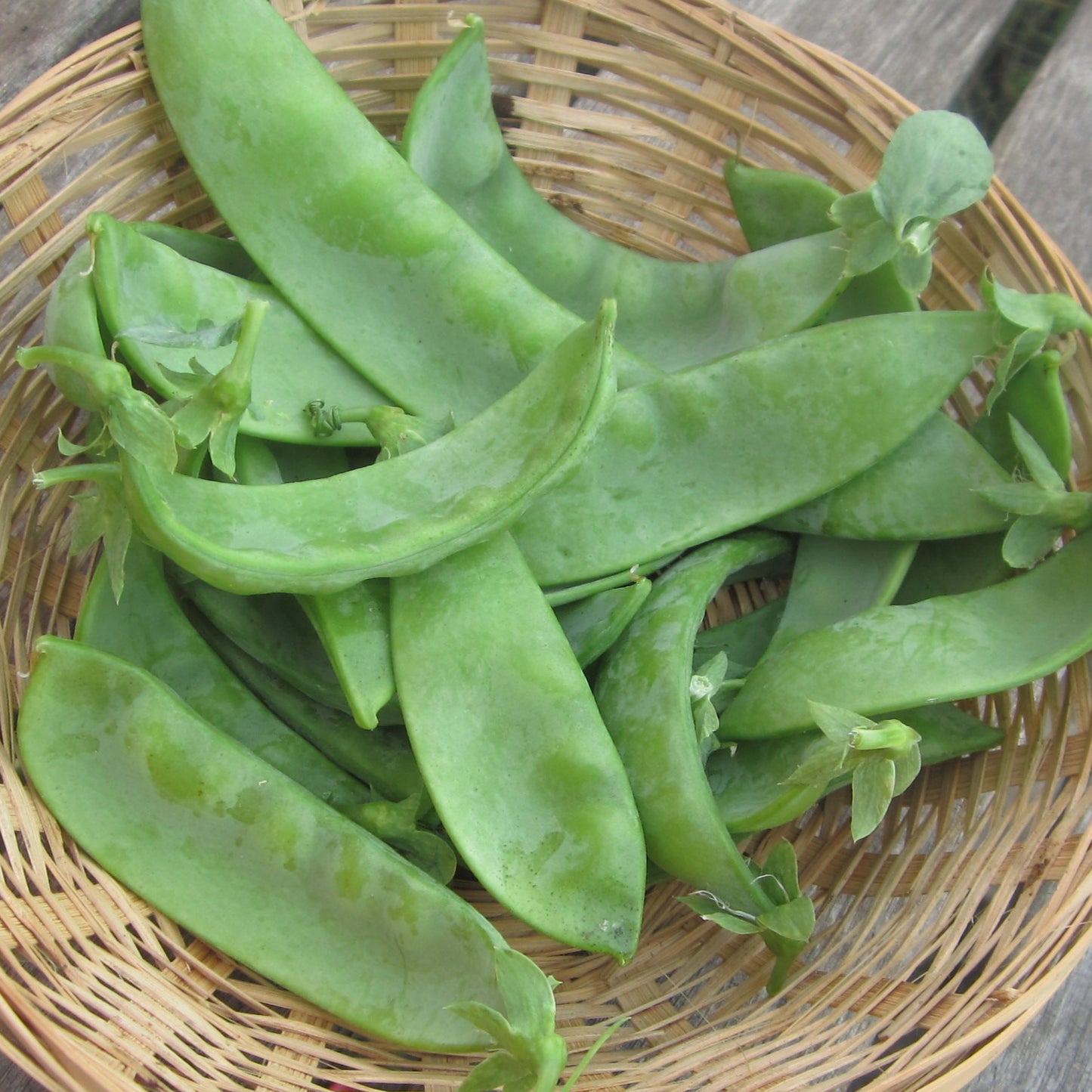 Pois mange-tout