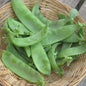 Pois mange-tout