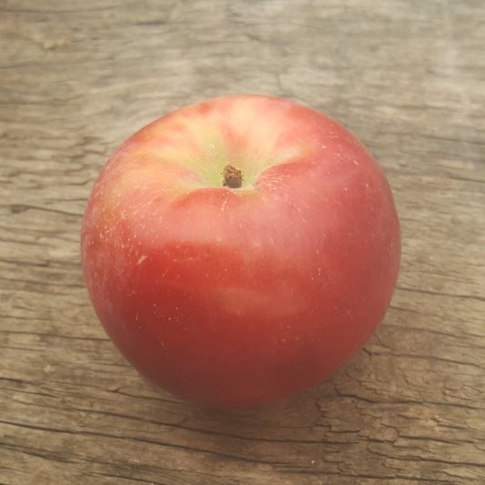 Pommes - Spartan (unité)