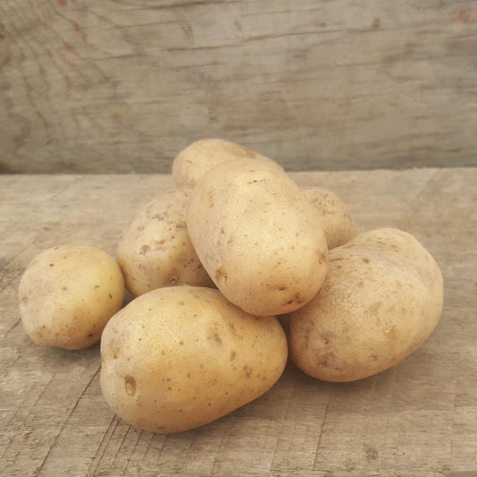 Pomme de terre grelot jaune (1lb)